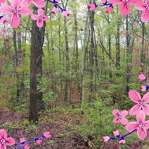 Meet your Posher, Carol